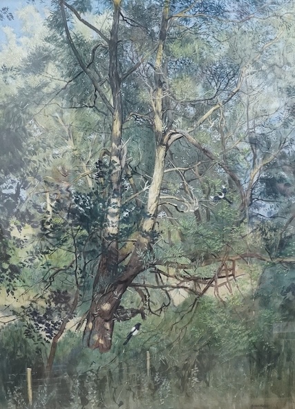 Brian Nolan (1931-2019), watercolour, Landscape with tree and magpies, signed, 74 x 54cm. Condition - good